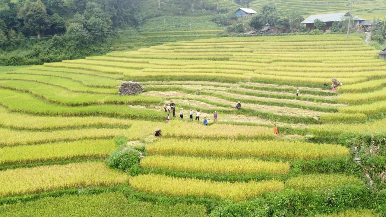 May Homestay Sapa Eksteriør bilde
